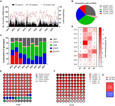 Genomic surveillance reveals low-level circulation of two subtypes of genogroup C coxsackievirus A10 in Nanchang, Jiangxi Province, China, 2015–2023